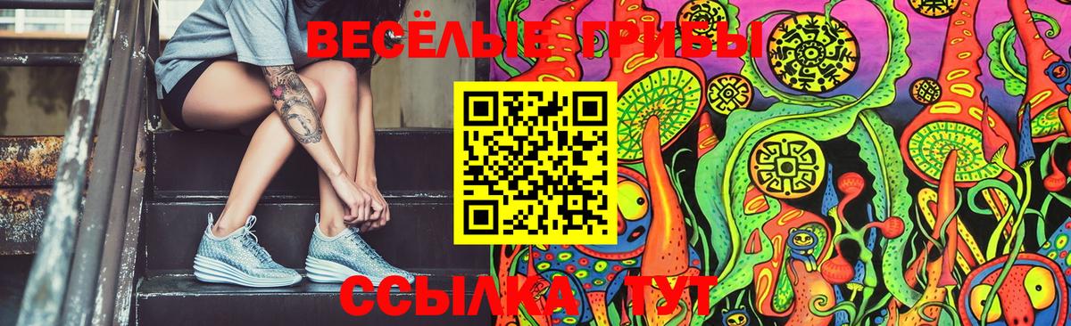 Менделеевск  Псилоцибиновые грибы GOLDEN TEACHER  Вход с VPN 